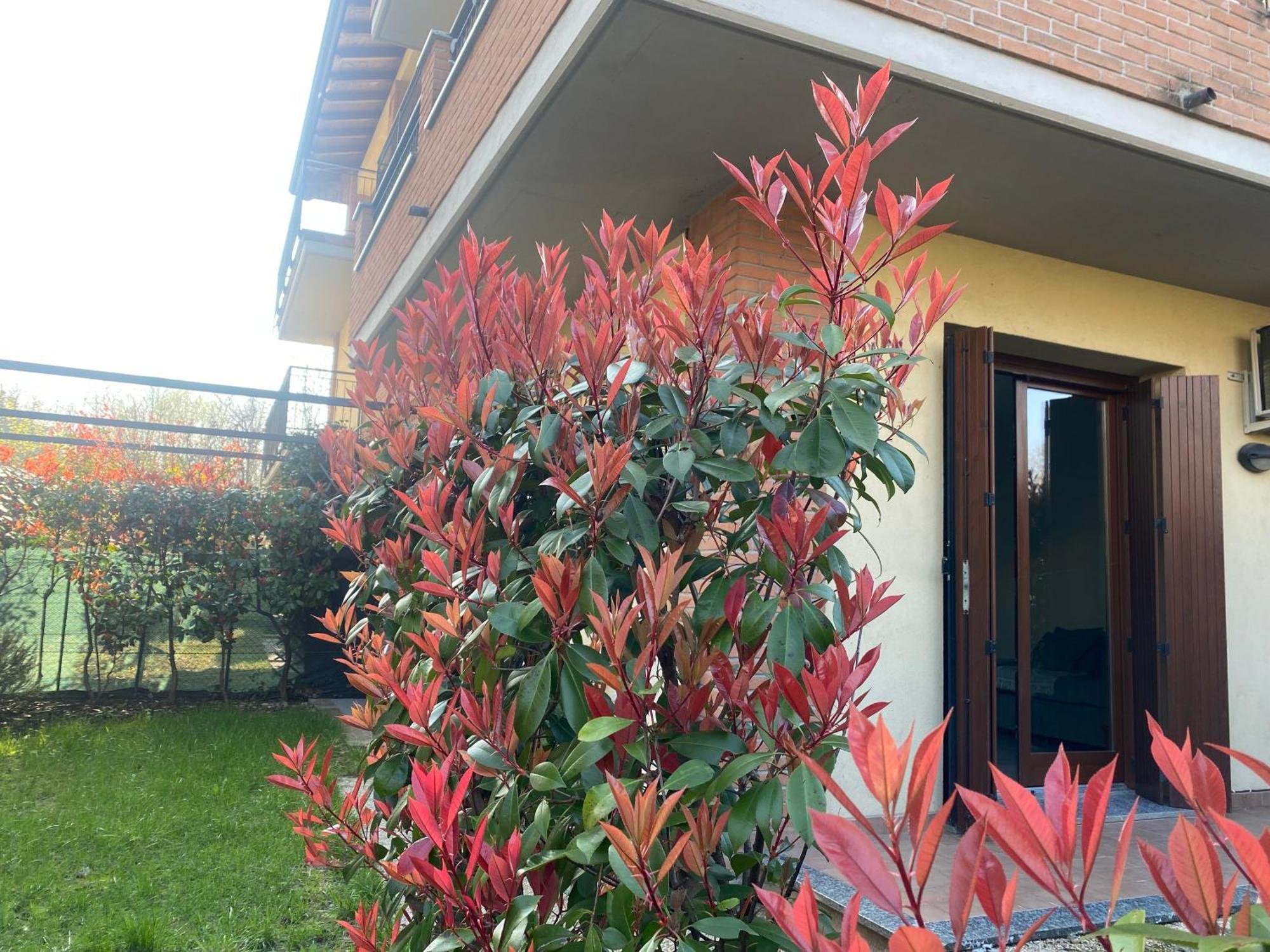Camille Garden Home - Free Park Como Dış mekan fotoğraf